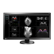 Eizo Releases 31.1