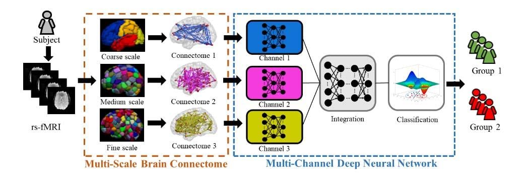 Schematic diagram of the proposed multichannel deep neural network model analyzing multiscale functional brain connectome for a classification task. rsfMRI = resting-state functional MRI.