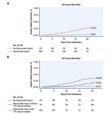 Kaplan-Meier curves for all-cause mortality in patients with versus without myocardial injury (Panel A) and in patients with versus without myocardial injury according to the presence or absence of major echocardiographic abnormalities (Panel B). *Includes wall motion abnormalities, global left ventricular dysfunction, diastolic dysfunction, right ventricular dysfunction and presence of pericardial effusion. Event rates are censored at 20 days from hospital admission. Images courtesy of Mount Sinai Health S