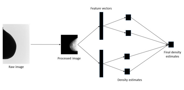 A deep transfer learning framework for making mammographic density estimates based on the visual scores of radiologists 