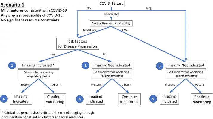 #COVID19 #Coronavirus #2019nCoV #Wuhanvirus #SARScov2  The first of three clinical scenarios presented to the panel with final recommendations. Mild features refer to absence of significant pulmonary dysfunction or damage. Pre-test probability is based upon background prevalence of disease and may be further modified by individual’s exposure risk. The absence of resource constraints corresponds to sufficient availability of personnel, personal protective equipment, COVID-19 testing, hospital beds, and/or ve