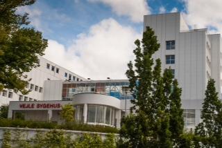 Vejle Hospital First Danish Center to Purchase RayStation