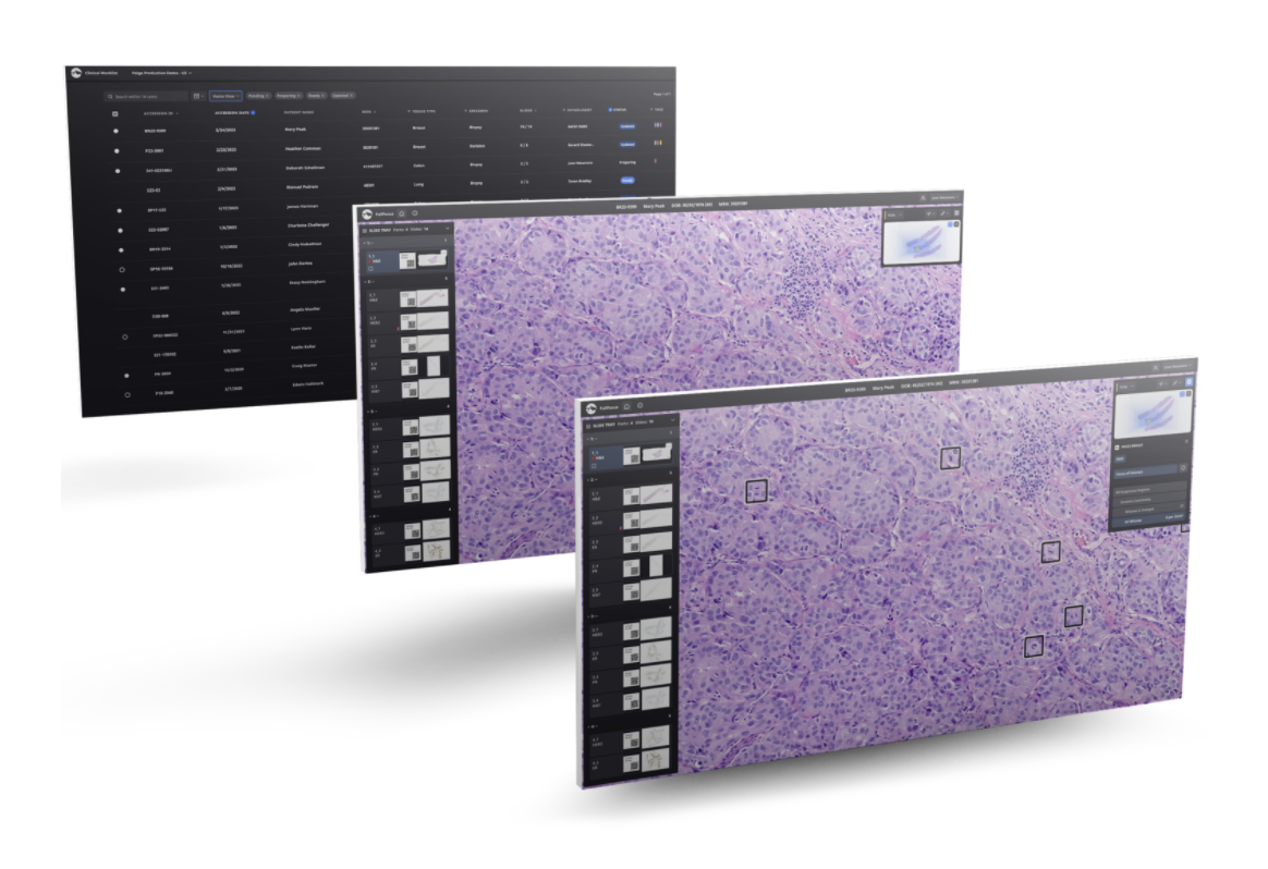 Paige Expands its AppLab Marketplace with Six New Digital Pathology Providers to Deliver a More Robust and Streamlined User Experience for Diagnosing Cancer - Vimarsana News
