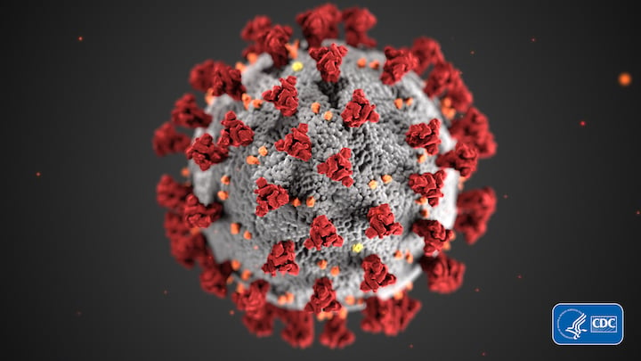 An illustration of the novel coronavirus (COVID-19) from the CDC. #coronavirus #COVID19 #COVID-2019 #2019nCoV