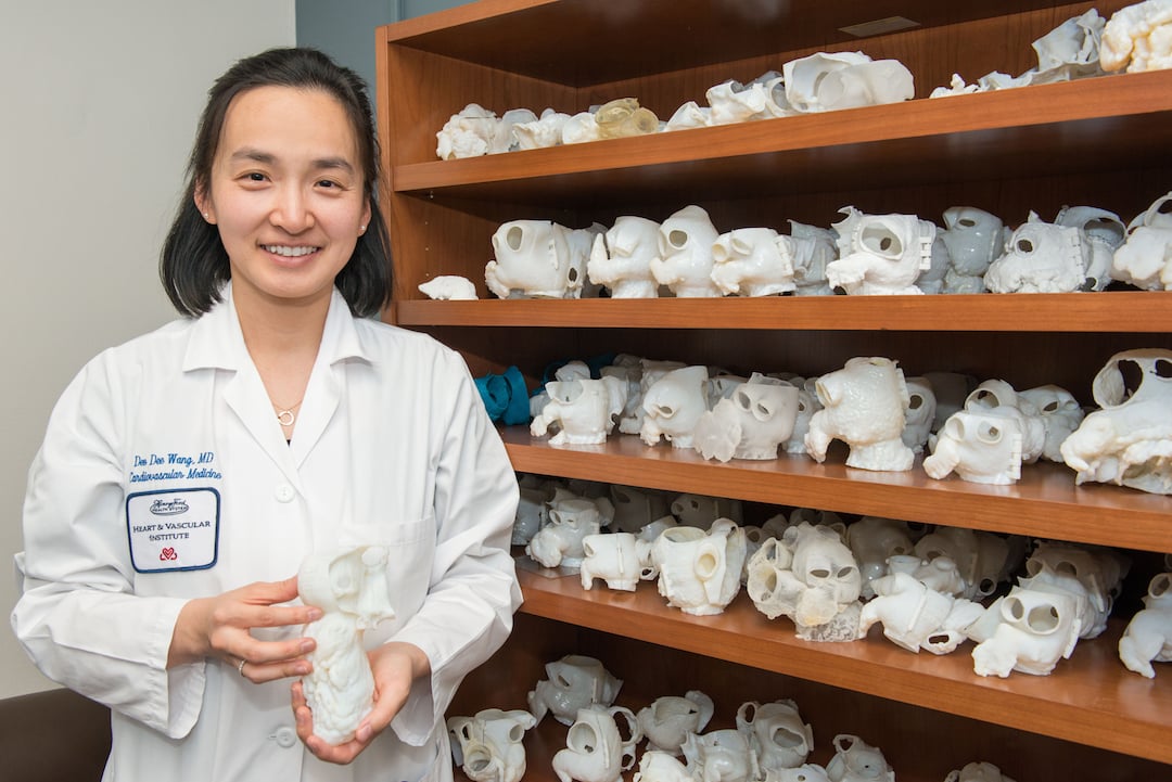 Dee Dee Wang, M.D., with her collection of 3D printed hearts from patients in the structural heart program at Henry Ford Hospital.