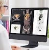 GE HEalthCare MIM modeling software