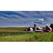 The needs of rural providers are both simpler and more challenging than those of urban centers, as rural providers must find systems that can handle all patients who come to them