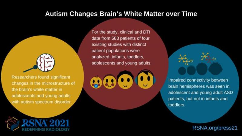 This infographic shows how autism changes the brain's white matter over time.