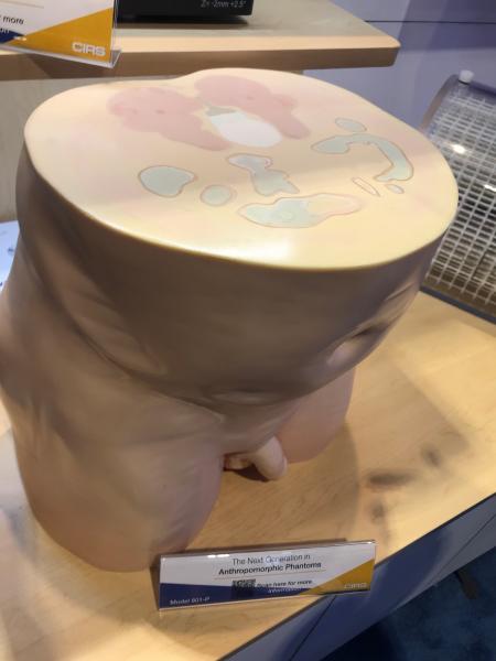 CIRS displayed its newest anthropomorphic phantom at ASTRO 2021. It is made of materials that mimic the same electron densities as the human body, so the phantom appears the same as human body in CT imaging, treatment plans and had the same attenuation properties when irradiated by the therapy system.