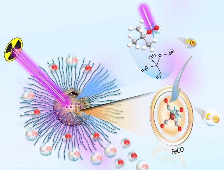 Upon radiation the nanoparticle produces oxygen free radicals and carbon monoxide, which kill cancer cells in the low-oxygen core of tumors