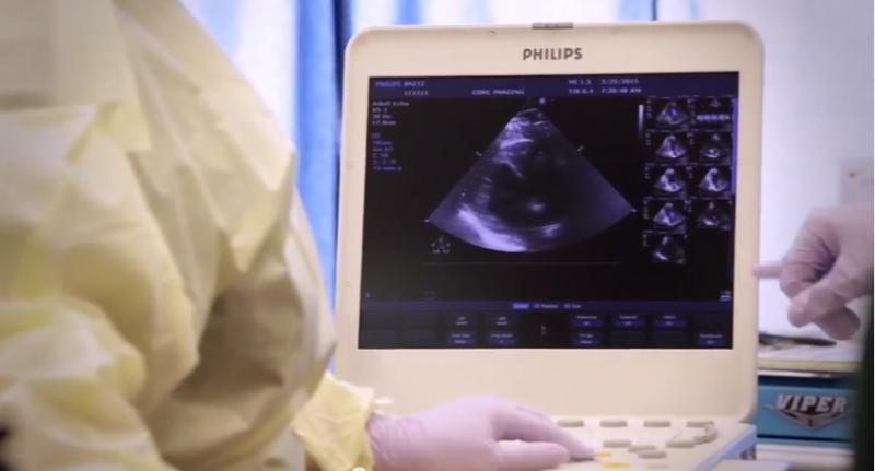 Virginia Zoo, Sentara Heart Hospital, orangutans, ultrasound