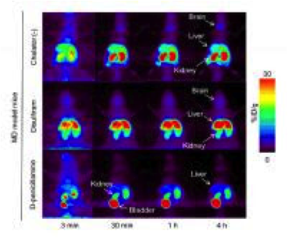 PET imaging in Menkes disease model mice