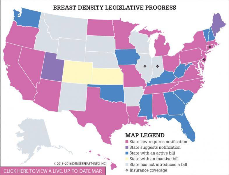 The Debate Over Breast Density