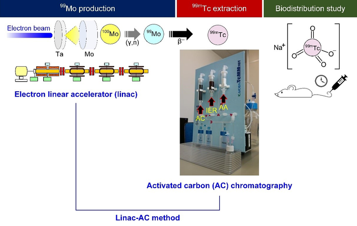 A schematic of the 99Mo/99mTc production system based on an electron linear accelerator and activated carbon-based 99mTc generator. Image courtesy of The University of Tokyo