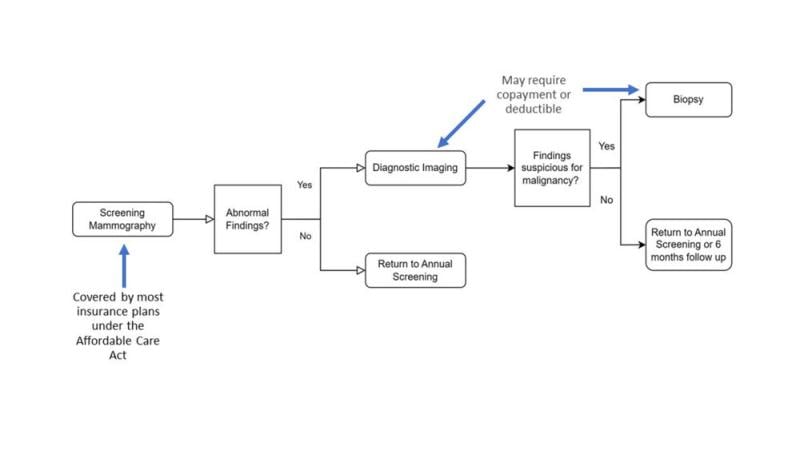 Figure 1. Flowchart of breast cancer detection process.