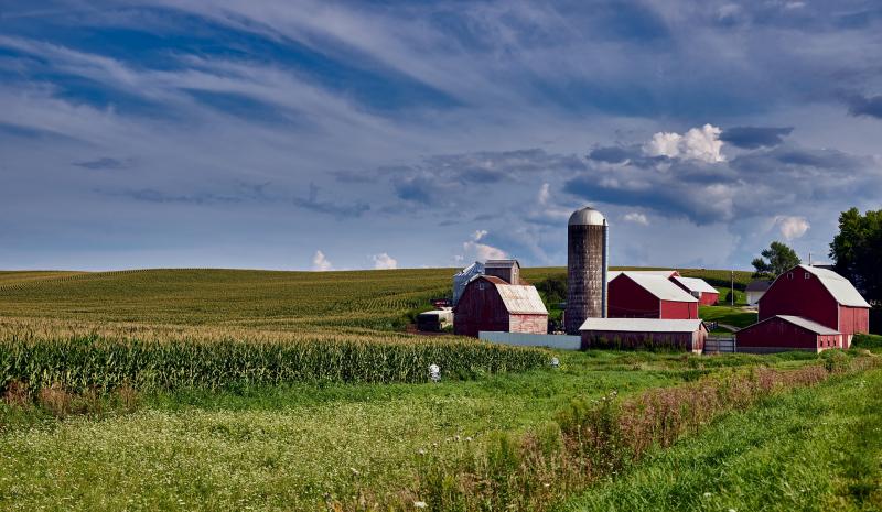 The needs of rural providers are both simpler and more challenging than those of urban centers, as rural providers must find systems that can handle all patients who come to them