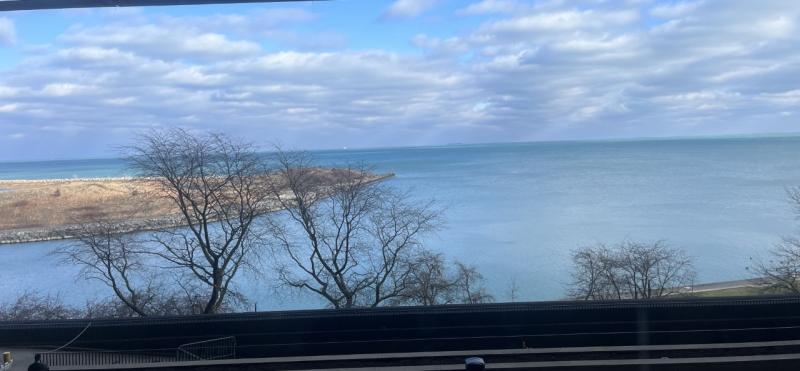 Taking in the view of Chicago’s magnificent lakefront from the East Wing of McCormick Place during RSNA 2022 was a popular pause in the action between a jam-packed schedule of RSNA 2022 educational sessions.