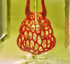 Bioprinting research from the lab of Rice University bioengineer Jordan Miller featured a proof-of-principle — a scale-model of a lung-mimicking air sac with airways and blood vessels that never touch yet still provide oxygen to red blood cells. 