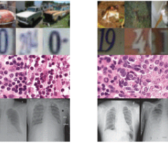 The top two rows show images of cars and digits. Given such data, conventional methods are fairly good at spotting anomalies (right) among ordinary cases (left). The bottom two rows show medical scans — these prove to be more difficult. Image courtesy of Nina Shvetsova et al./IEEE Access