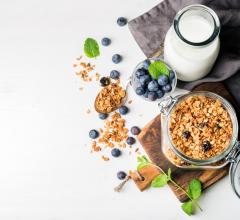 Conducted by the University of Gothenburg, Lund University and the University of South Australia, the preclinical study found that dietary oat bran can offset chronic gastrointestinal damage caused by radiotherapy, contradicting long-held clinical recommendations.