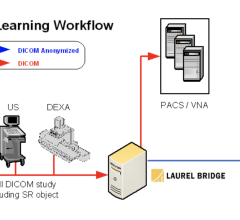 Laurel Bridge Machine Learning workflow