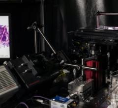 A versatile light-sheet microscope developed at the University of Washington can provide surgeons with real-time pathology data to guide cancer-removal surgeries and can also non-destructively examine tumor biopsies in 3-D. Image courtesy of Mark Stone/University of Washington