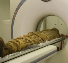 CT Technique Expands Possibilities of Imaging Ancient Remains