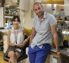 Karla Santos-de-Frutos and Nabil Djouder in the lab. Image coutesy of Antonio Tabernero. CNIO 