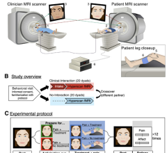 The fMRI hyperscanning environment. 
