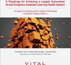 An adjunct or starting point to today’s VNA-based Enterprise Imaging Platform