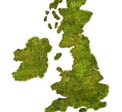 U.K. Cancer Doctors Respond to Cancer Plan for England