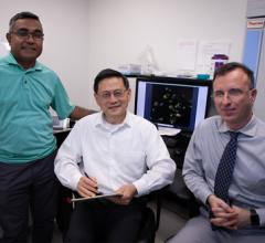 Dr. Monowar Aziz (left), Dr. Ping Wang (middle) and Dr. Max Brenner (right) recently received a $3.8 million grant to study sepsis and radiation. (Credit: Northwell Health) 