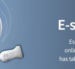 Esaote, an Italian company leader in the biomedical equipment sector – ultrasound, MRI and software for the medical sector – launched E-shop: the new online store to reach medical professionals more quickly and effectively.