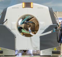 Black Rhinoceros at Brookfield Zoo Undergoes Portable CT Scan