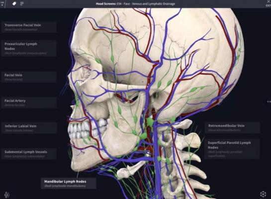 DrChrono and 3D4Medical Partner to Bring 3-D Interactive Modeling to Physician Practices