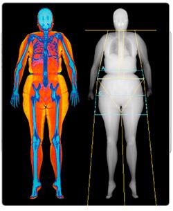 Get a complete body assessment - Body Comp