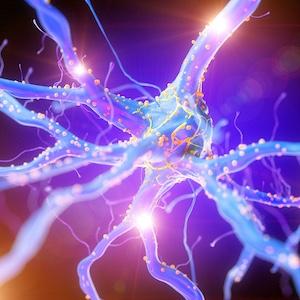Imaging Study Shows Widespread Brain Connection Loss in Schizophrenia