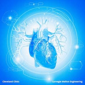 Researchers Team Up to Develop AI System to Interpret Cardiac MRI Scans  