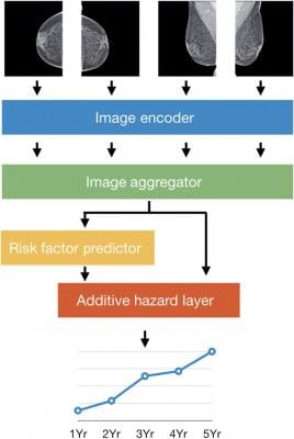 The four standard views of an individual mammogram were fed into Mirai. The image encoder mapped each view to a vector, and the image aggregator combined the four view vectors into a single vector for the mammogram. In this work, we used a single shared ResNet-18 as an image encoder, and a transformer as our image aggregator. The risk factor predictor module predicted all the risk factors used in the Tyrer-Cuzick model, including age, detailed family history, and hormonal factors, from the mammogram vector.