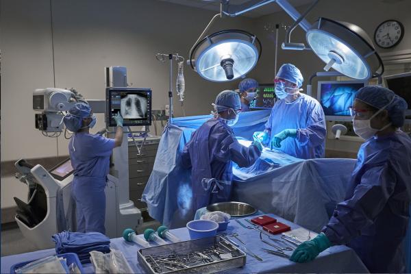 GE Healthcare announced it has received U.S. Food and Drug Administration (FDA) 510(k) clearance for an artificial intelligence (AI) algorithm to help clinicians assess Endotracheal Tube (ETT) placements.