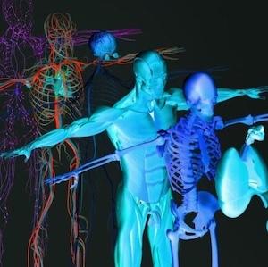 Study: New 3D Imaging System Combines Ultrasound, Photoacoustic Imaging