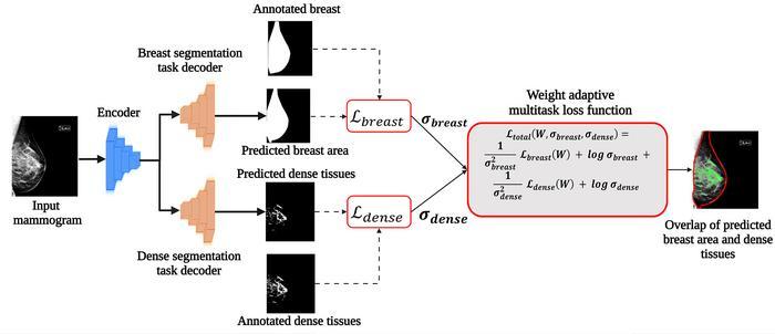Graphical abstract of an advanced architecture for accurate mammogram segmentation. More information at https://github.com/uefcancer/Deepdensity