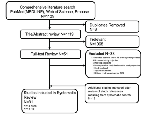 Flowchart shows results of comprehensive search and final studies included in systematic review.