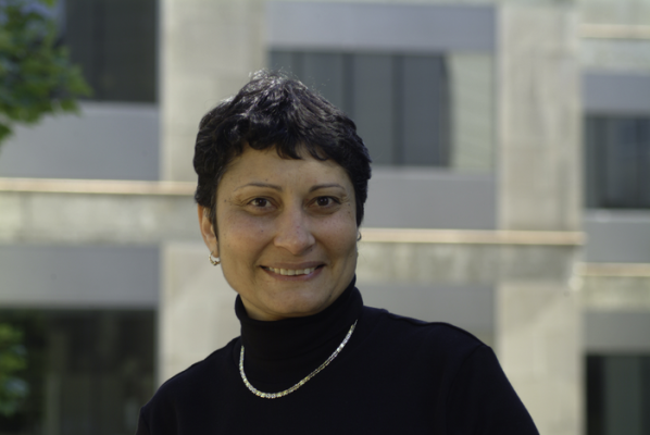 Magda El-Shenawee, University of Arkansas breast cancer research