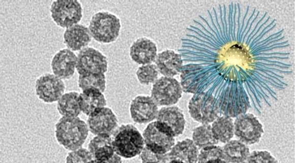 The novel nanoparticle is designed to enhance radiation killing of cancer cells in the radiation resistant low-oxygen tumor core