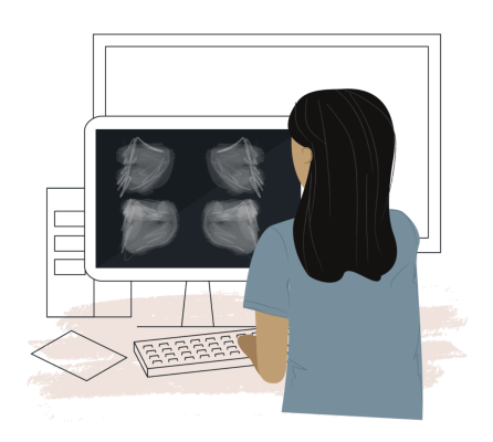 The study, developed in collaboration with researchers at the Stanford School of Medicine, will test the long-standing assumption made by the majority of peer-reviewed publications that the use of artificial intelligence does not influence radiologists’ performance. 