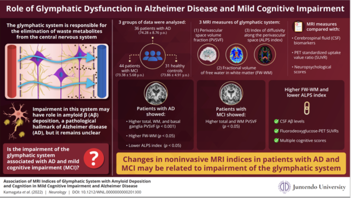 Researchers reveal new noninvasive MRI measures of the glymphatic system function that could be used to track Alzheimer disease progression 