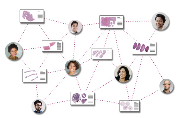 Pramana, Inc., an AI-enabled health tech company modernizing the pathology sector, and PathPresenter, the global image sharing platform for pathology, announced a collaboration to accelerate the enterprise adoption of digital pathology workflows.
