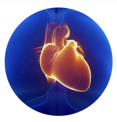 Beilinson Hospital in Israel used Nanox.AI’s HealthCCSng solution to conduct study on routine chest CT scans to assess impact of AI-based coronary artery calcium (CAC) measurements 