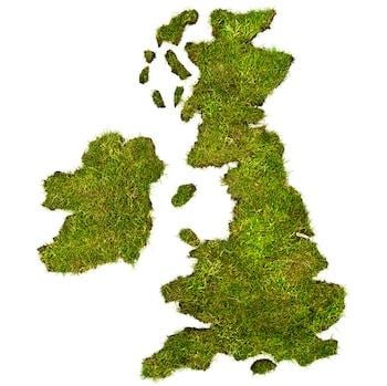 U.K. Cancer Doctors Respond to Cancer Plan for England